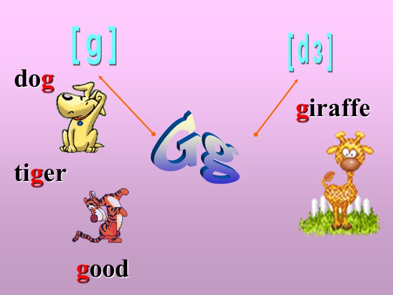 dog    tiger  giraffe [g] [dз] Gg good